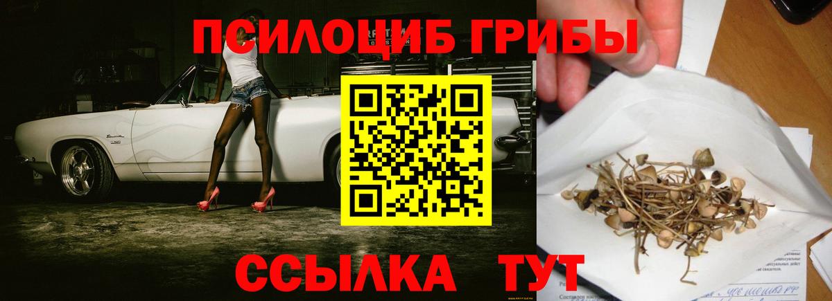 Псилоцибиновые грибы GOLDEN TEACHER  Вход с VPN  Горячий Ключ 