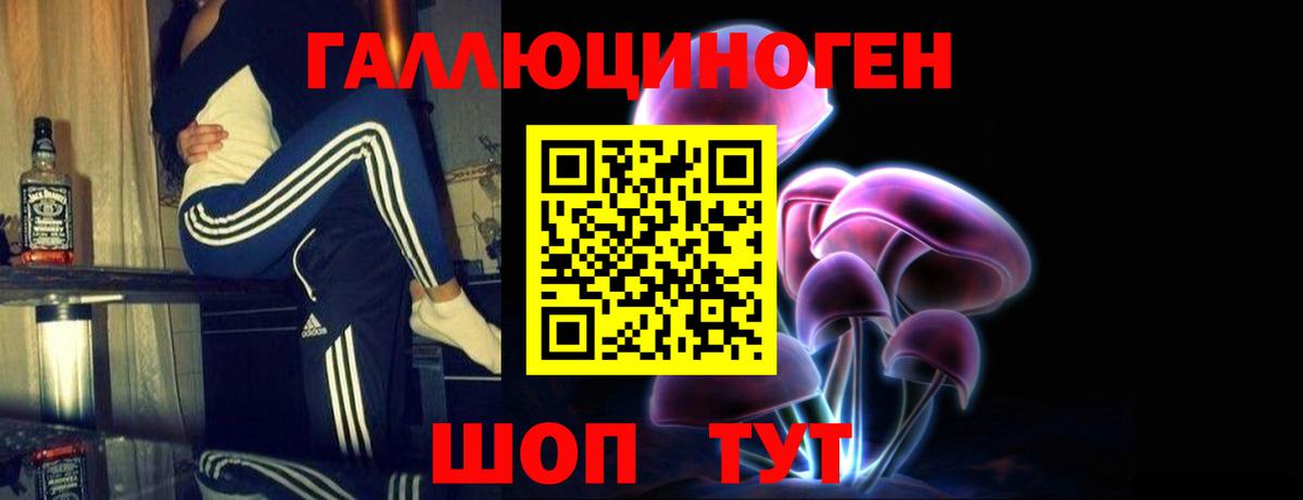 Псилоцибиновые грибы мицелий Горячий Ключ